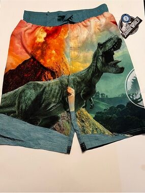 Jurassic World Boys' T-Rex Swim Trunks - Teal & Orange XL 14-16